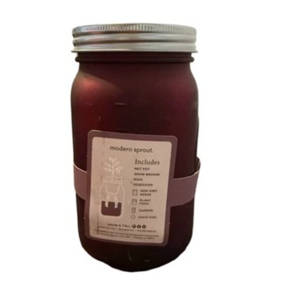 Hydroponic Lavender Grow Kit in Jar - Picture 3 of 4